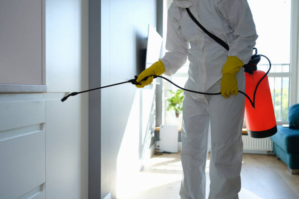 Best Professional Mold Removal  in Riverbend, WA
