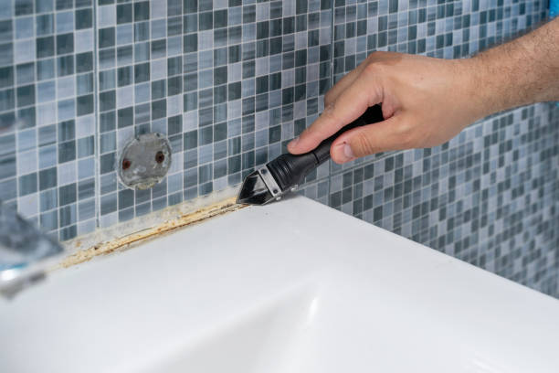 Best Mold Removal and Inspection  in Riverbend, WA